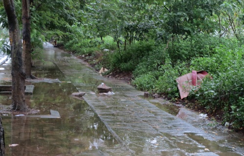 Nghi an nguoi phu nu bi sat hai luc rang sang hinh anh