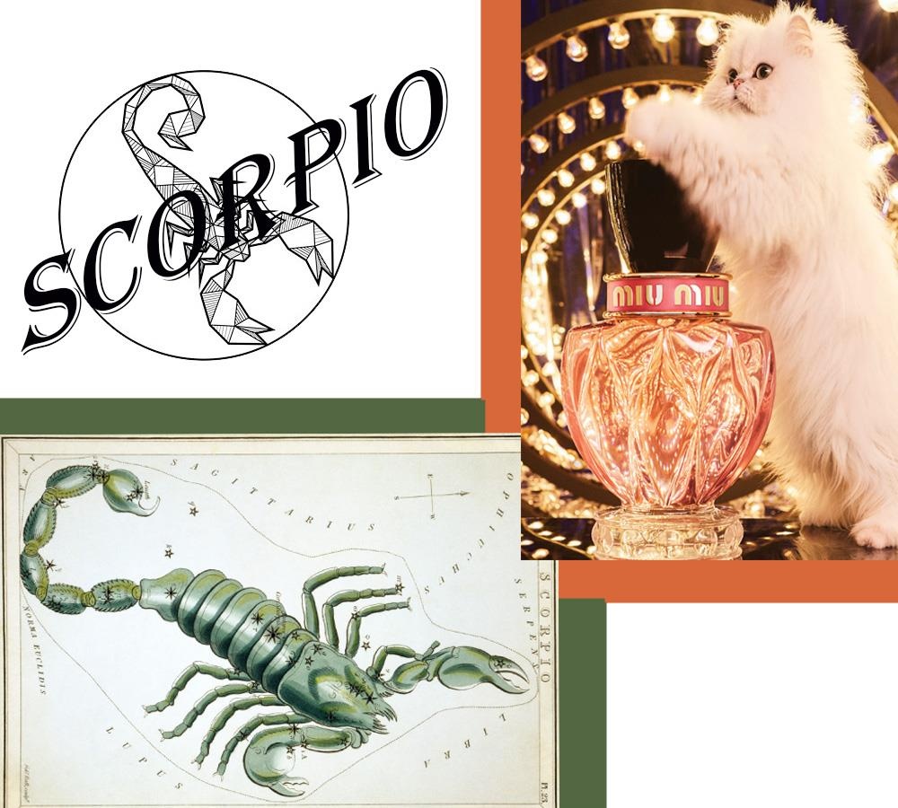 nước hoa nữ ảnh 8 nuoc hoa nu anh 8