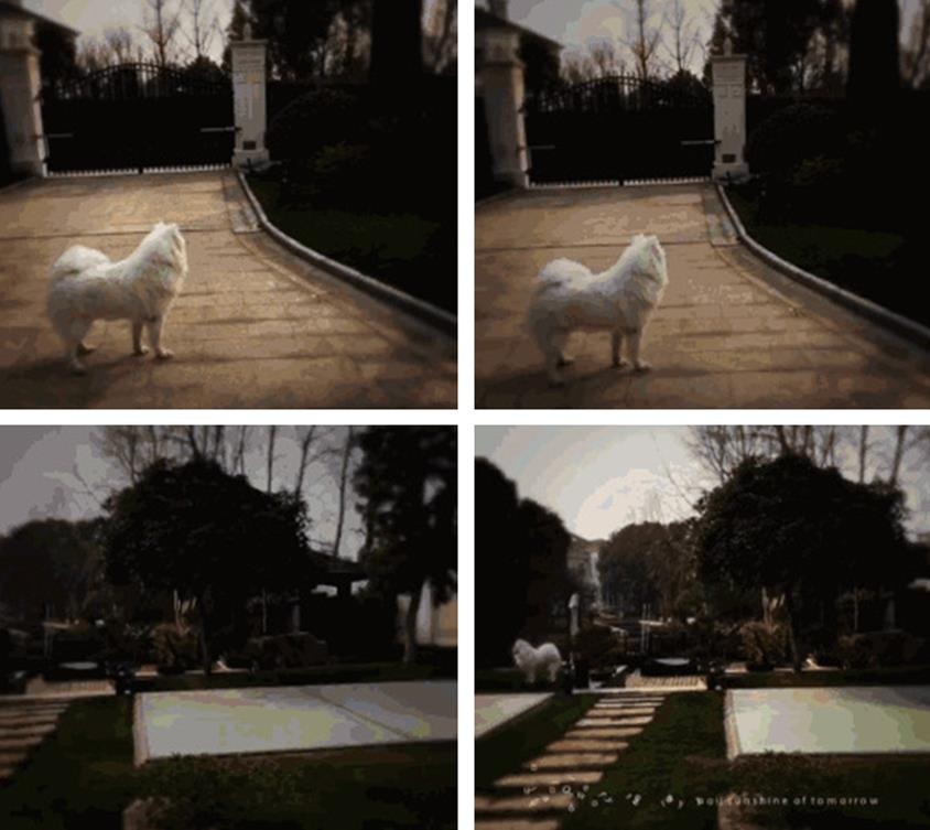 Gia the kieu han anh 4