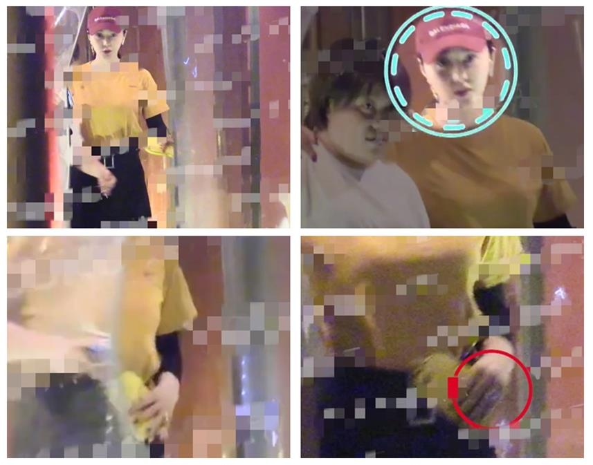 pham bang bang anh 1