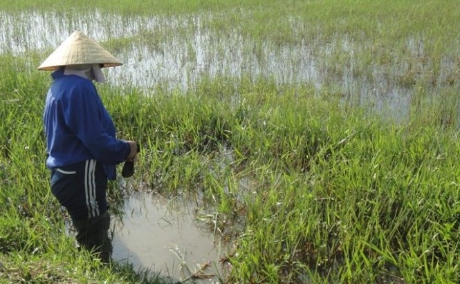 Ha Tinh: Dan do xo bat dia ban hinh anh