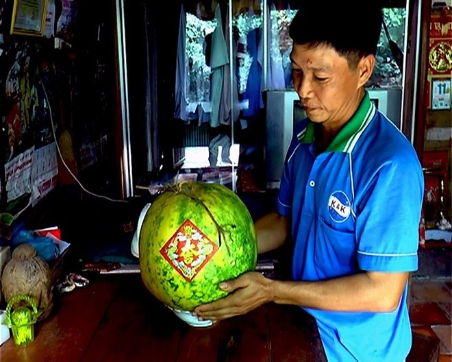 Dua hau tu trong de 9 thang khong hong hinh anh