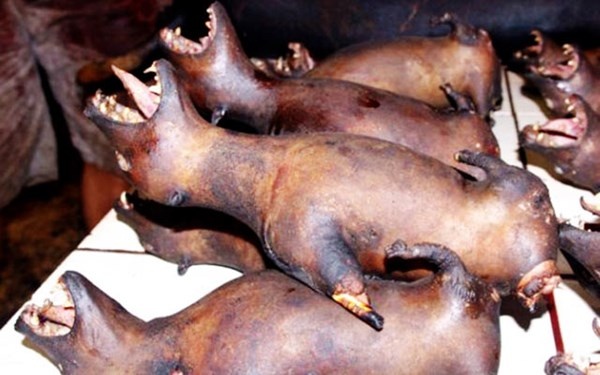 Thuc hu tuc kieng thit cho 'tranh hoa' cua dong ho Quach hinh anh