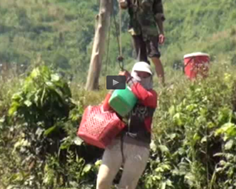 Clip hien truong vu du cap vuot song, mot nguoi tu vong hinh anh