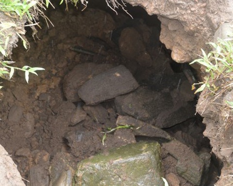 Khan cap di dan khoi mieng 'ho tu than' o Quang Ngai hinh anh