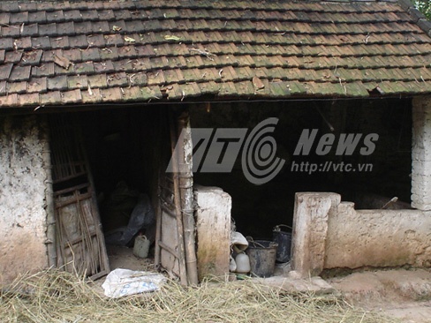 Ngoi lang ky la 10 nam khong nuoi duoc vat 4 chan hinh anh