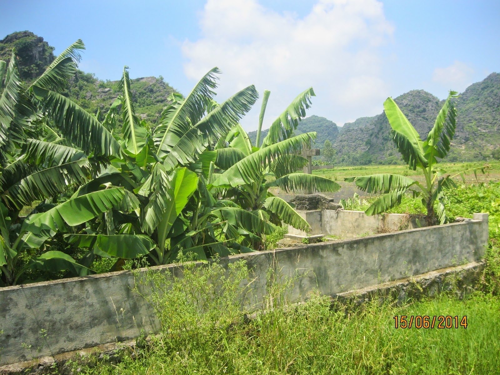 Danh hang xom liet nua nguoi vi 3 cay chuoi hinh anh