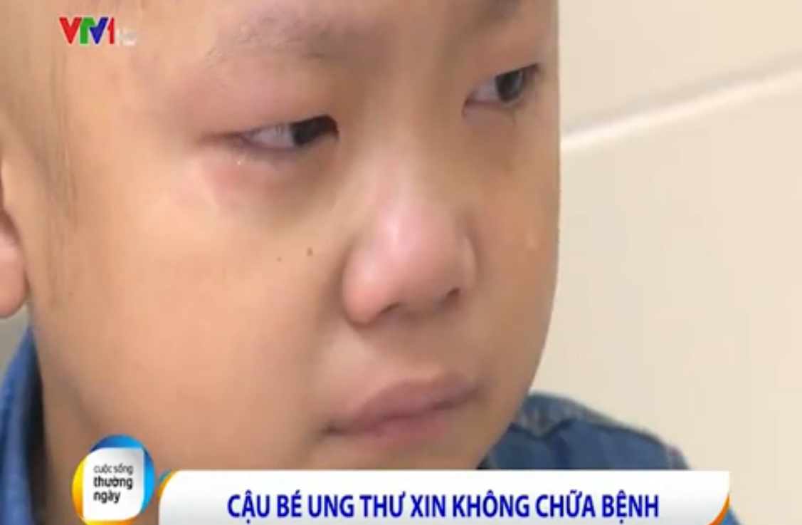 Cau be ung thu xin khong chua benh hinh anh