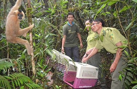 Phat hien hang ngan bay thu trong khu bao ton hinh anh