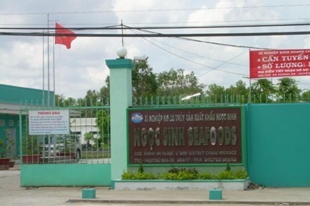 Bat giam doc lua dao hang tram ty dong hinh anh