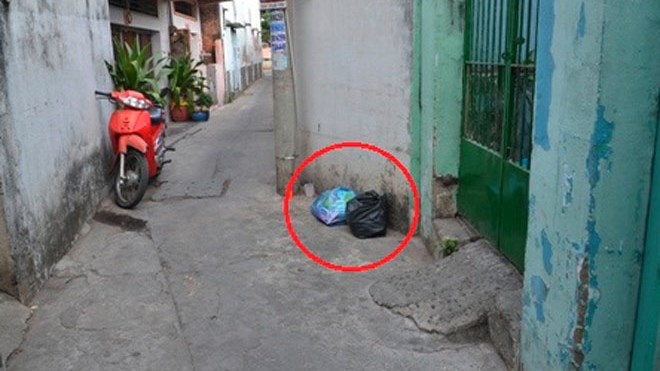 2 thi the tre so sinh vut trong khuon vien ngoi chua hinh anh