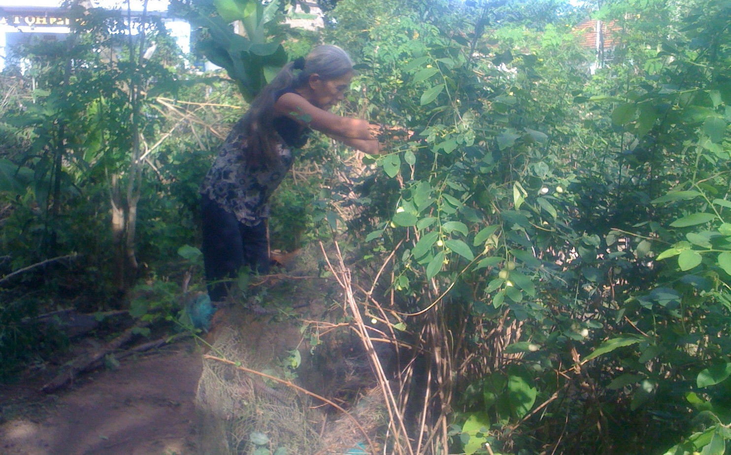 Ran luc duoi do tran ve Phu Yen, can 141 nguoi hinh anh