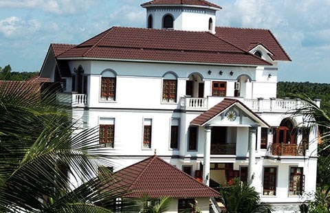 Con ong Truyen ke khai tai san nhu the nao? hinh anh