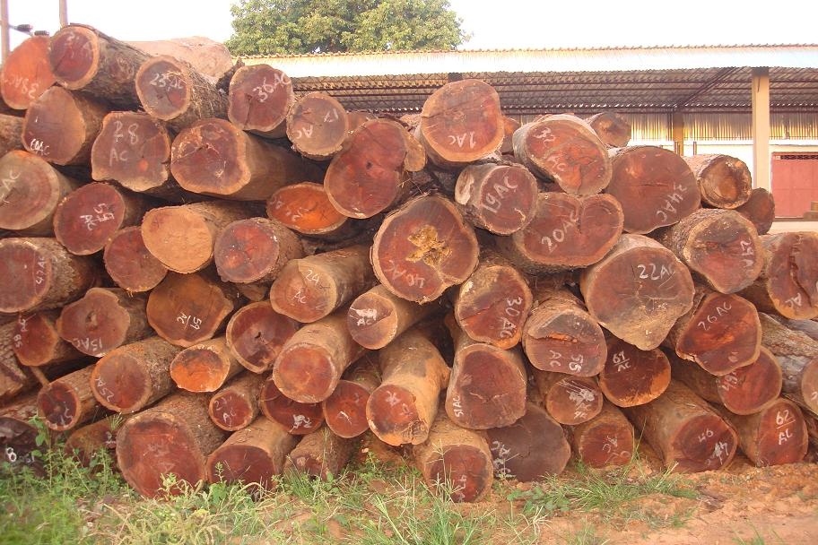 Ky luat 2 lanh dao xa ky giay cho dan ban go trac hinh anh