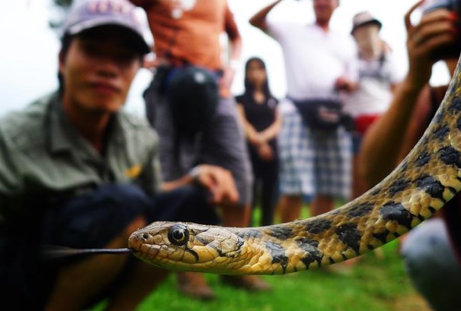 'Xa thu' san ran hinh anh