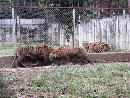 Song canh... chua son lam hinh anh