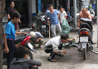 Dang lai xe, thot tim vi ran ho may bo ra tu dau xe may hinh anh