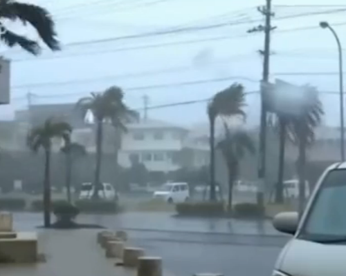 VTV: Phong tranh bao cap 12 nhu the nao? hinh anh