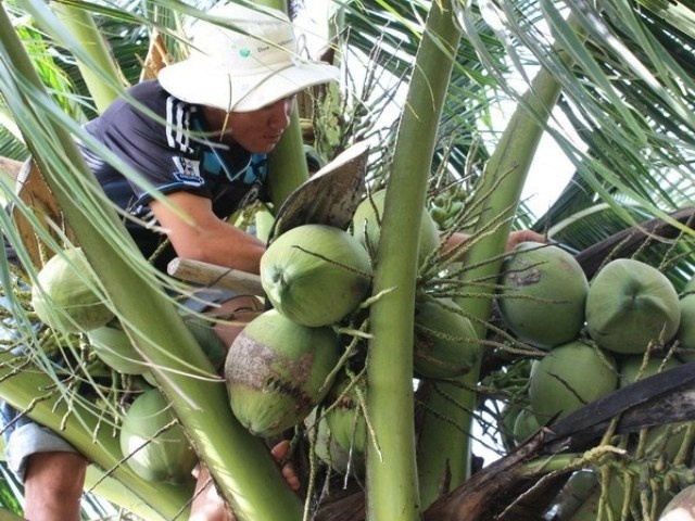 Ru be gai di hai dua roi lam bay hinh anh