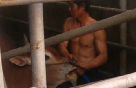 Dot nhap hai co so bo bom nuoc o Dong Nai hinh anh