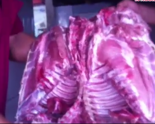 Van chuyen heo thoi vao thanh pho hinh anh