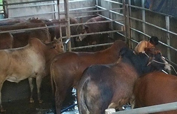 Se rut phep hai co so bo bom nuoc o Dong Nai hinh anh