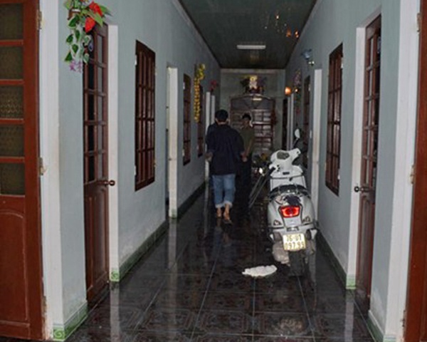 Pha dong mai dam tra hinh hinh anh