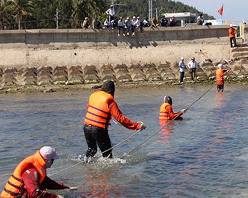 Cap dien ngam Ly Son bi noi do song qua lon hinh anh