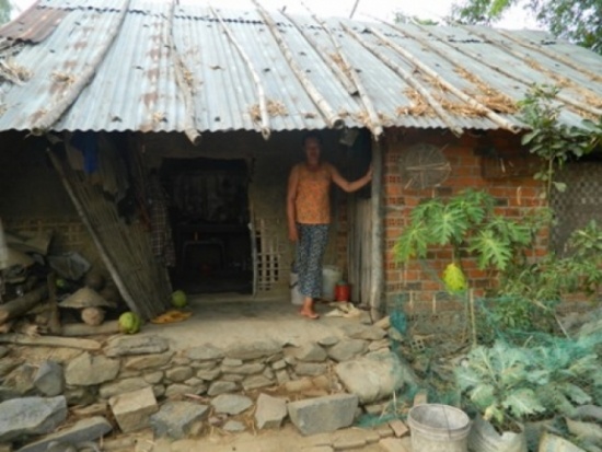 4 'yeu rau xanh' gieo rac noi kinh hoang trong can nha vang hinh anh