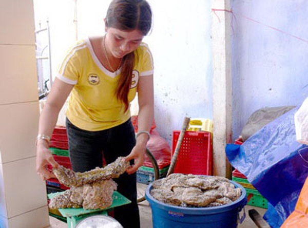 Lan bat hai sam: Doi mat tu than hinh anh