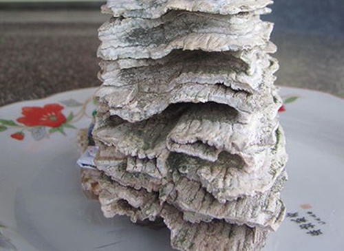 Phat hien ham rang nghi cua voi ma mut tai Phu Yen hinh anh