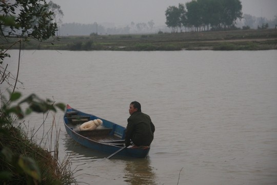 Cheo ghe ra ho choi, 2 cha con chet duoi hinh anh