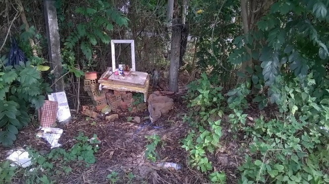 Giam doc Trung tam van hoa huyen tu tien do nha dan hinh anh