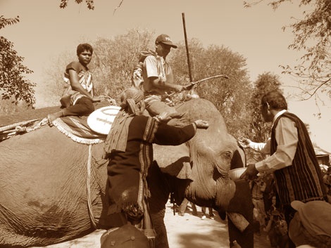 Vu 'voi doan xiec quat chet nguoi': Mua voi dong duc hinh anh