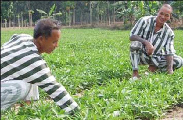 Trum giang ho Hai 'banh' khong di lac loi se rat tai hoa hinh anh