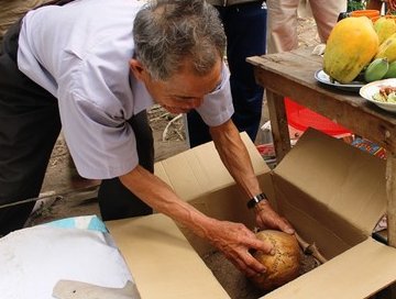 Bi an ho chon hai cot tap the hinh anh