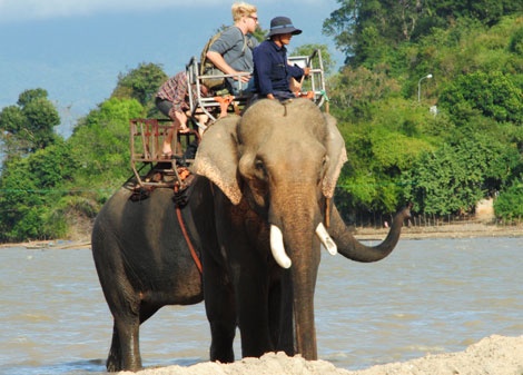 Nga tren dinh doi xuong, mot voi nha tu nan hinh anh