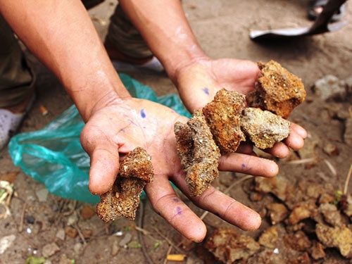 Bi an ho hai cot tap the: Them 2 bo hai cot va con nua hinh anh