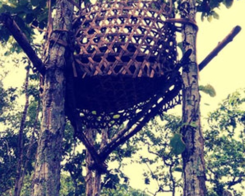 La lam gio… dai ma hinh anh