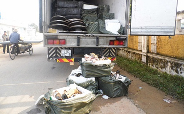 1,4 tan chan trau, bo boc mui tren duong vao TP HCM hinh anh