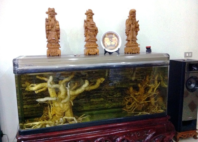 Be ruou 500 lit ngam cu dinh lang 'khung' nhat Viet Nam hinh anh