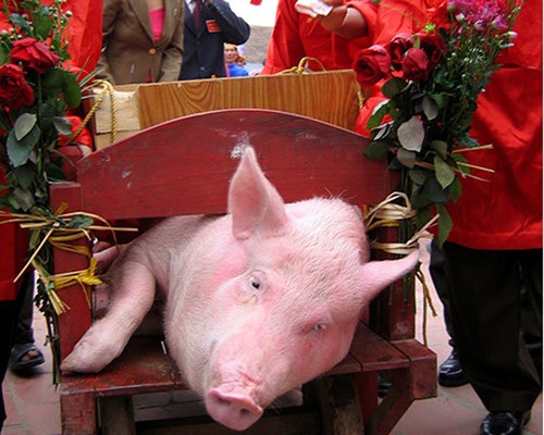 Khong khuyen khich le hoi 'man ro' nhu le hoi chem lon hinh anh