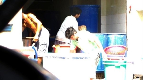 Dot nhap lo mut dan xung quanh rung minh khong dam an hinh anh