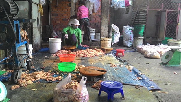 Bao cao an toan thuc pham tet dep den kho tin hinh anh