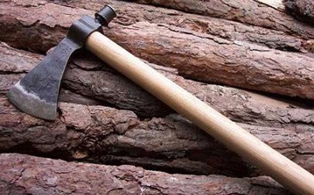 Da bat duoc ke sat hai chau be 3 tuoi hinh anh