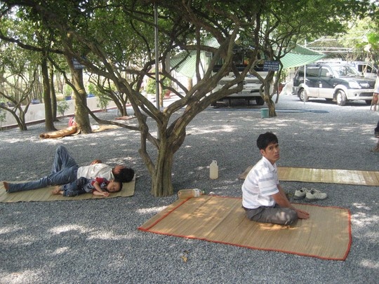 Mung 1 Tet, 'khu vuon ky la' van nuom nuop khach hinh anh