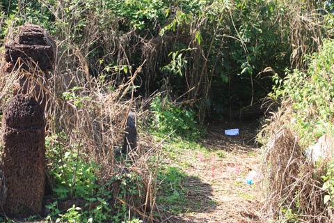 Du thieu nu vao nghia trang gio tro doi bai hinh anh