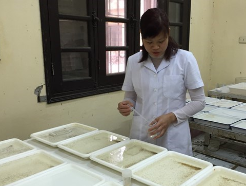 Chuyen nhung nguoi chuyen thu tinh nhan tao cho muoi hinh anh