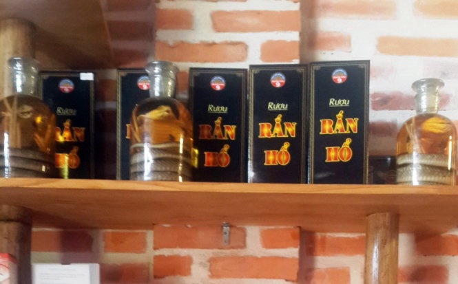 'Biet thu la' chi tiep khach Nga co dau hieu vi pham hinh anh