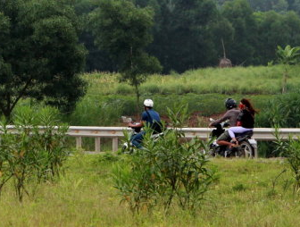 Xem xet tich thu xe may di vao duong cao toc hinh anh